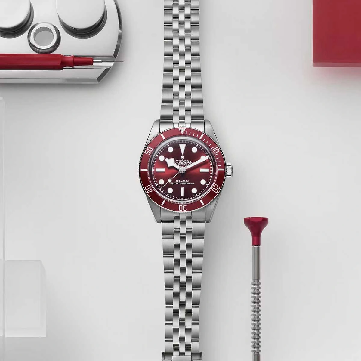 TUDOR Black Bay | 58