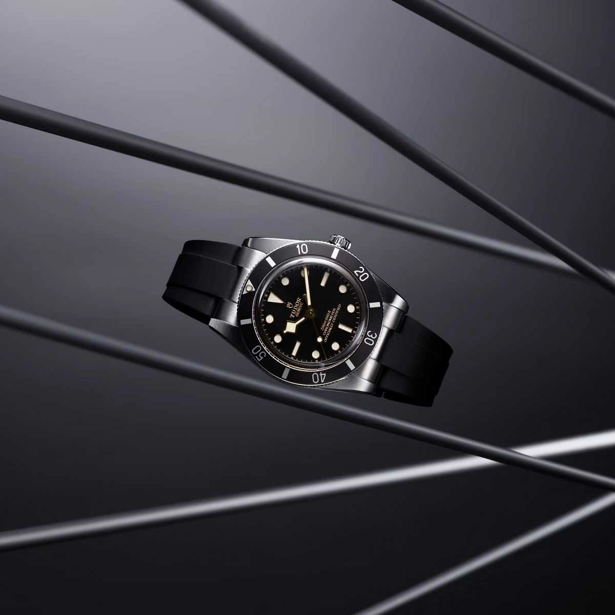 TUDOR Black Bay | 54