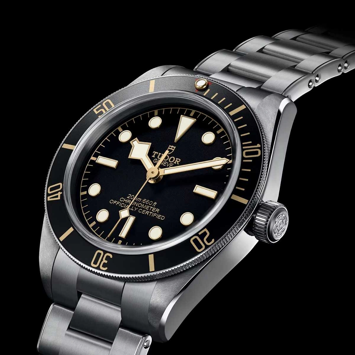 TUDOR Black Bay | 58